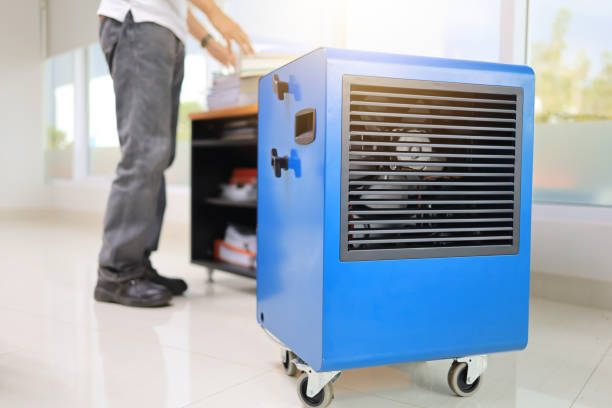 Best Mold-Related Health Consultation  in Rincon Valley, AZ