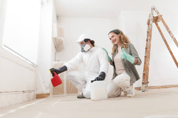 Best Mold Documentation for Insurance Claims  in Rincon Valley, AZ