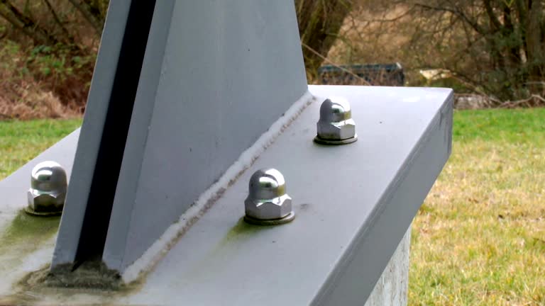 Best Attic Mold Removal  in Rincon Valley, AZ
